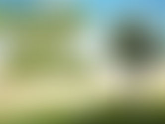 The Divine Law of Abundance