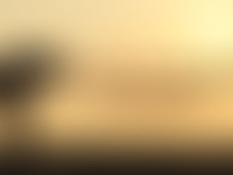 WHY DO I GIVE UP SO EASILY?