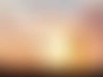 Allow the Universe to Support You