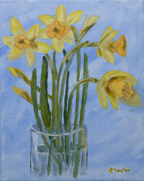 Daffodils