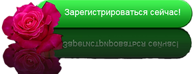 Screenshot_4-removebg-preview.png