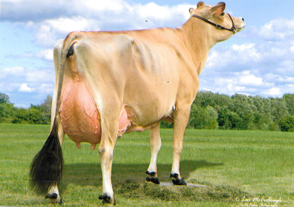 Edited Image 2016-03-22 18-49-39