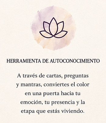 Kit_Ceremonia_Color_Banner_Web.jpg