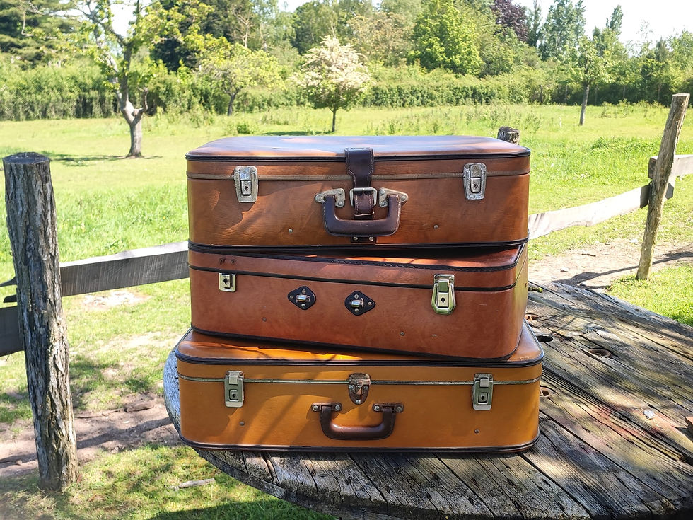 Lot valises Les Marrons