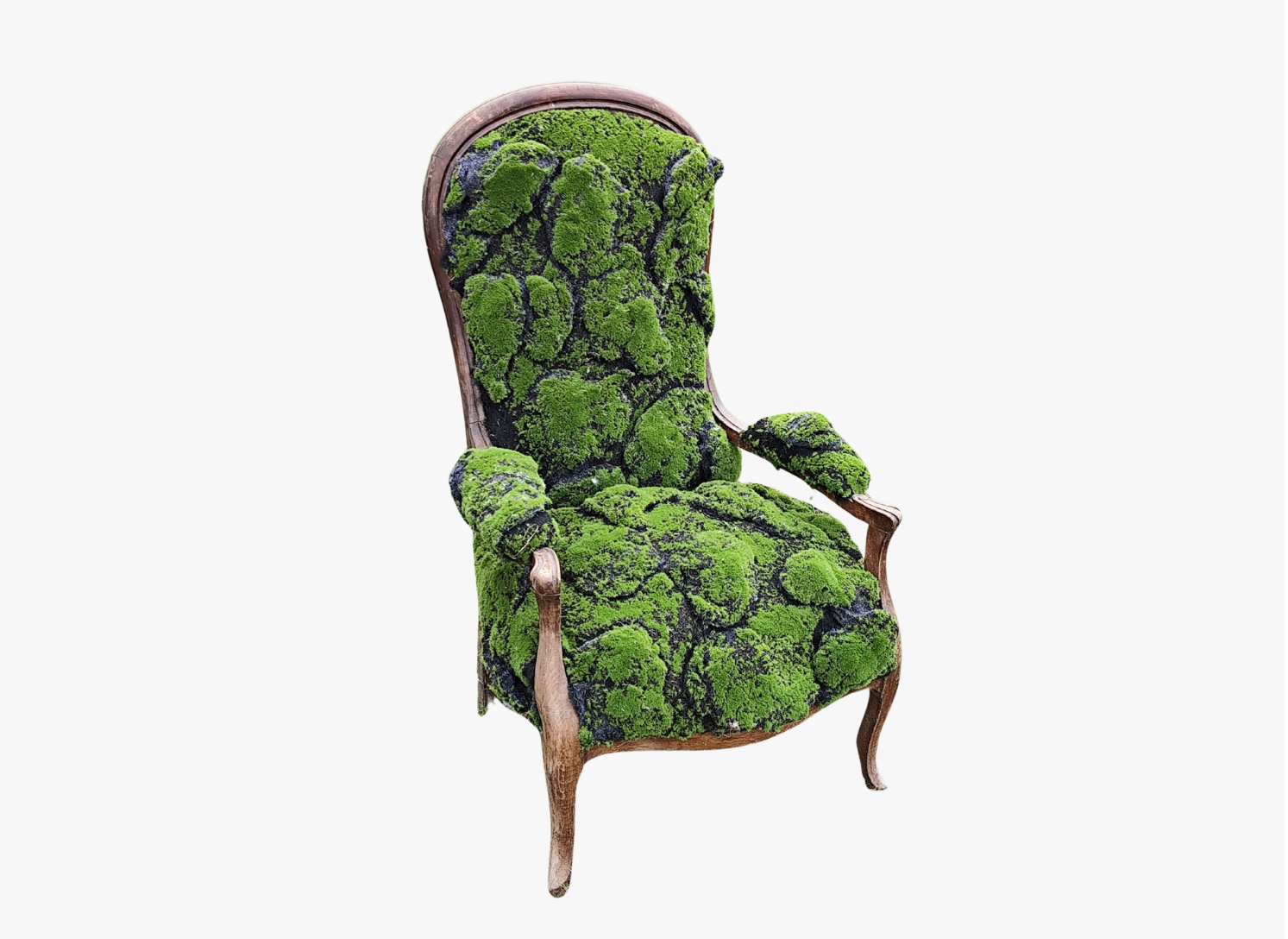 Fauteuil Forêt