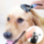 Miniatura: Escova Rasqueadeira Profissional PetMaster