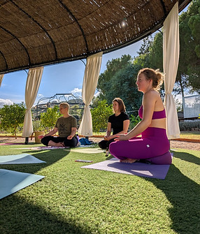 c14630f2-e743-4f44-a9a7-c249dac0bebd 2.JPG