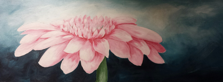 gerbera