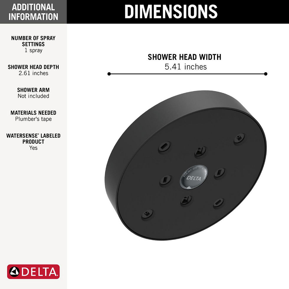 Thumbnail: Delta Universal Shower Rain shower head H 2 Okinet… — RP70175PR