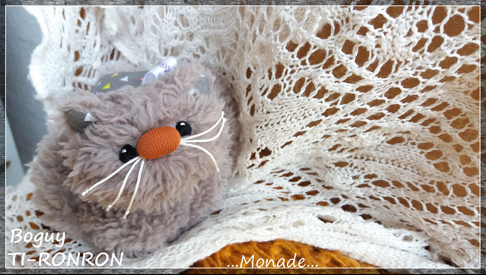 Miniature : Ti-Ronron Boguy