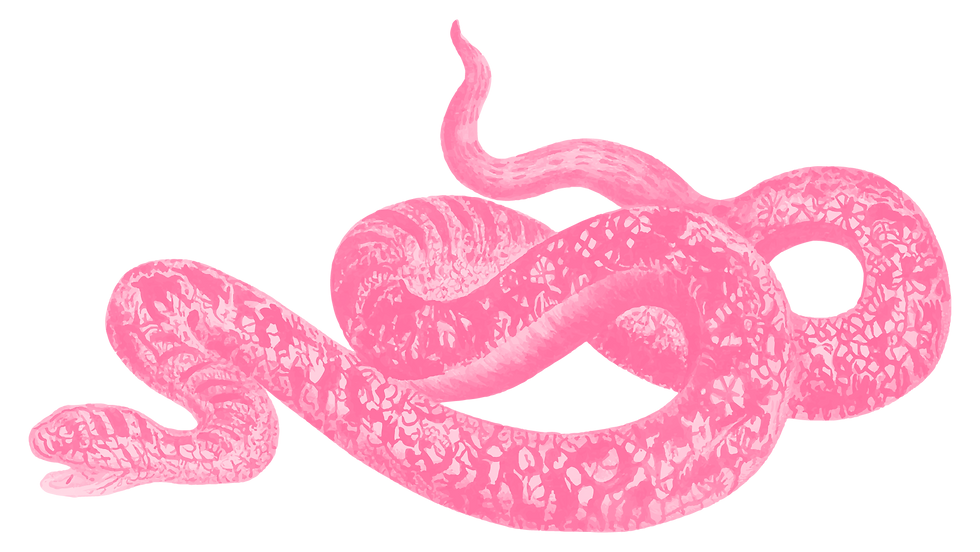 Illustrated Snake Drawing