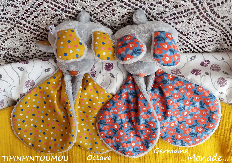 Miniature : Tipinpintoumou Octave (adopté) et Germaine (adoptée) (Oeko-Tex)
