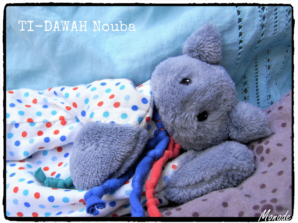 Miniature : Ti-Dawah Nouba