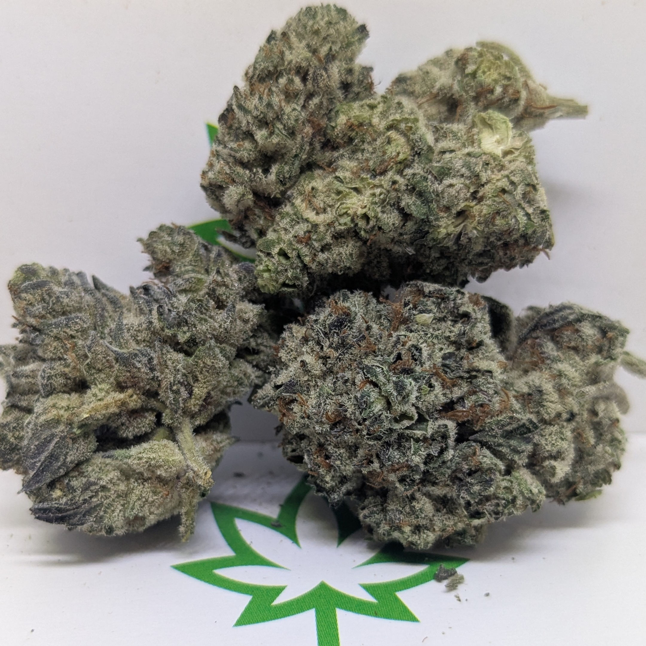 Pink Oreoz (AAAA+) Indica