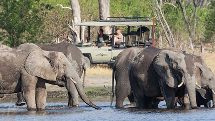 Game-drive-Elephant2-1696x550.jpg