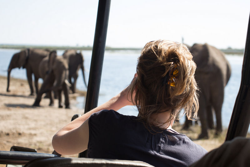 Botswana safari game drives