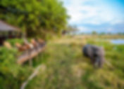 Okavango Delta lodge trips
