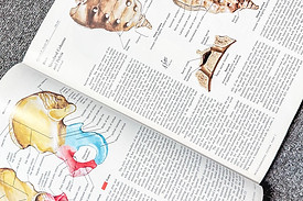 Educational Textbook at Chiropractic table with spine visual aids and business cards at Crest Hill Clinic