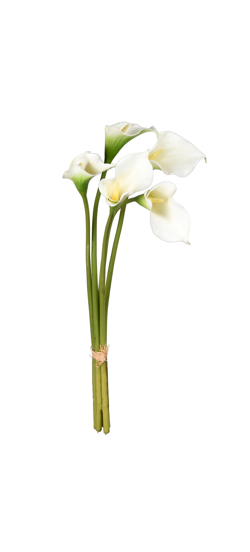 Calla Lily X5 Bunch