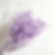 Single Bunch Dried Flowers