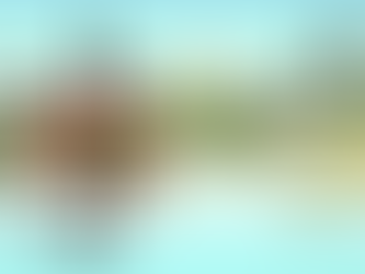 月替わり御朱印〜水無月〜