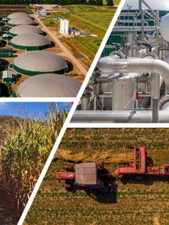 A Bioenergia na Rota do Hidrogênio de Baixo Carbono