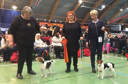 BIR-BIM-Letohallen-20191109.jpg