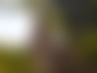 When considering online study, excellence matters.