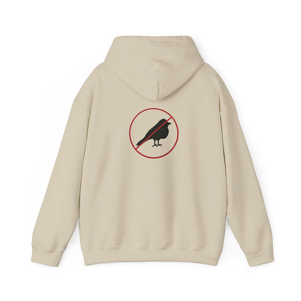 Thumbnail: go away birds double sided hoodie