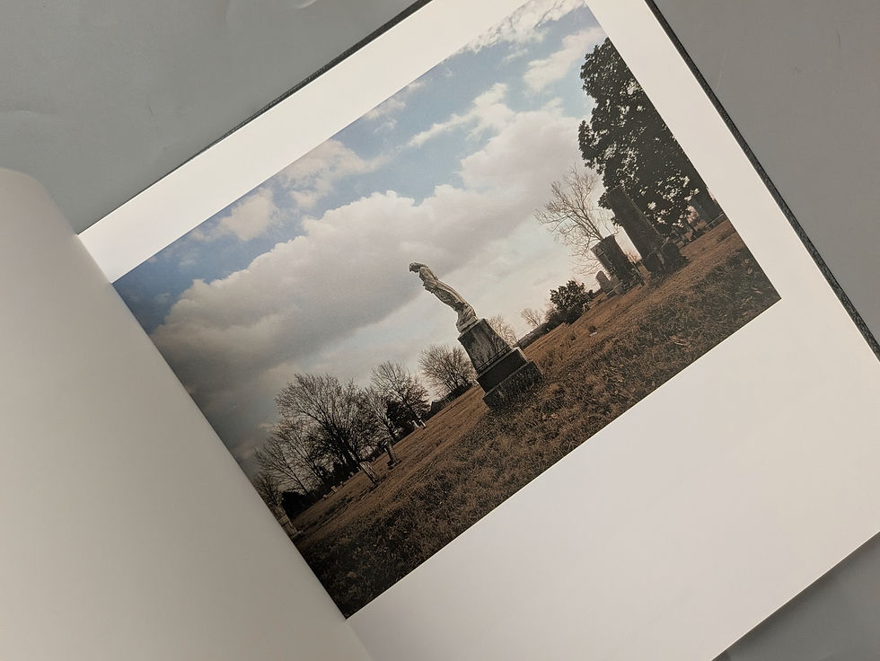 サムネイル： William Eggleston's Guide