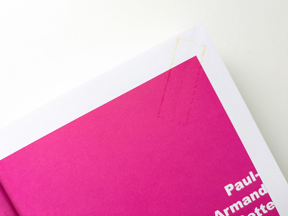 サムネイル： LES MYTHOLOGIES APPRIVOISEES / Paul-Armand Gette