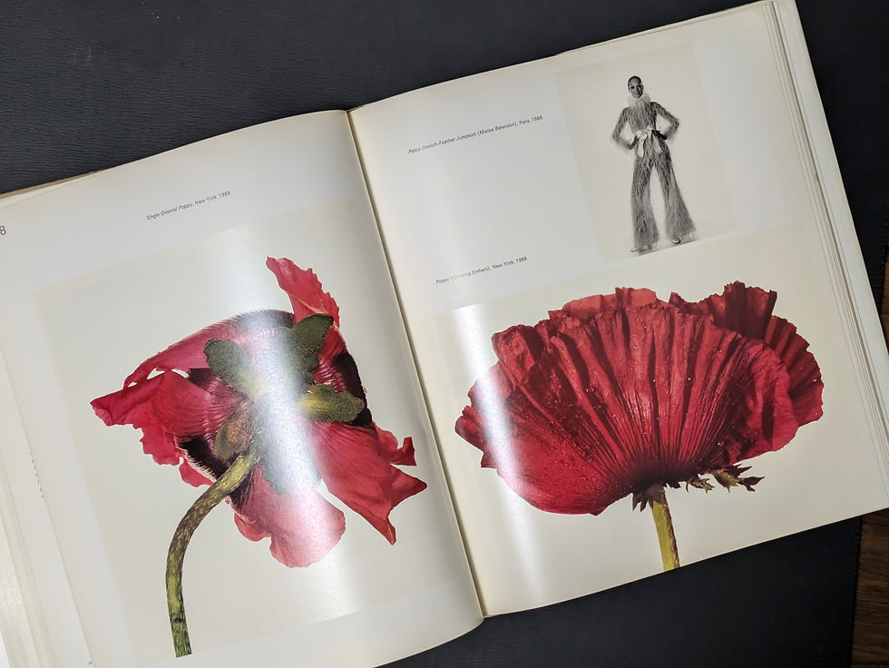 Irving Penn アーヴィング・ペン PASSAGE 写真集 アーヴィング・ペン パッセージ | アーヴィング ペン, Penn