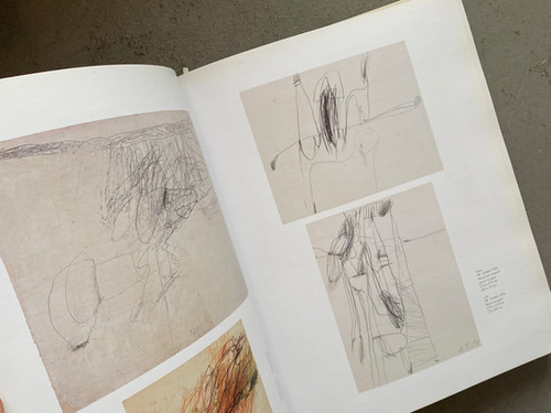 古書・古本 | Liebbooks |CY TWOMBLY A MONOGRAPH / RICHARD LEEMAN