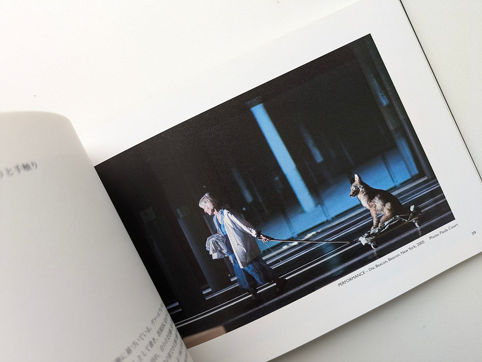 サムネイル： JOAN JONAS  Lines and Shadows