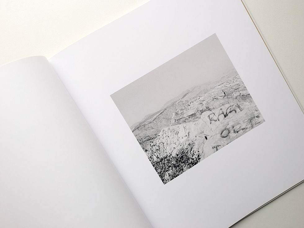 Thumbnail: On Lookout Mountain / Robert Adams