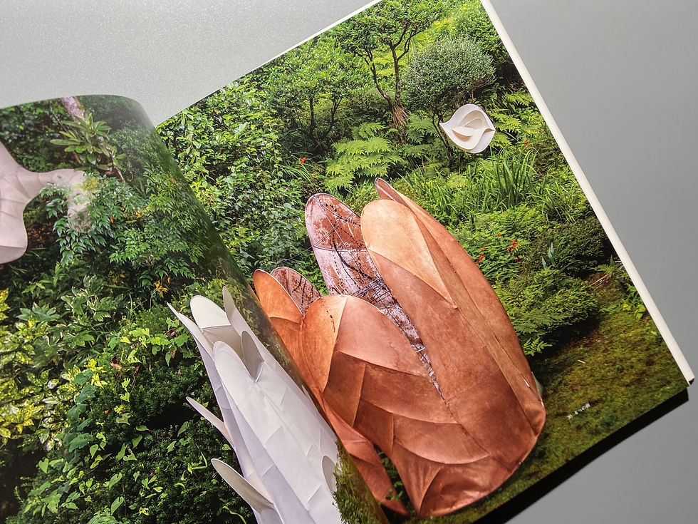 サムネイル： 橿尾正次 作品集