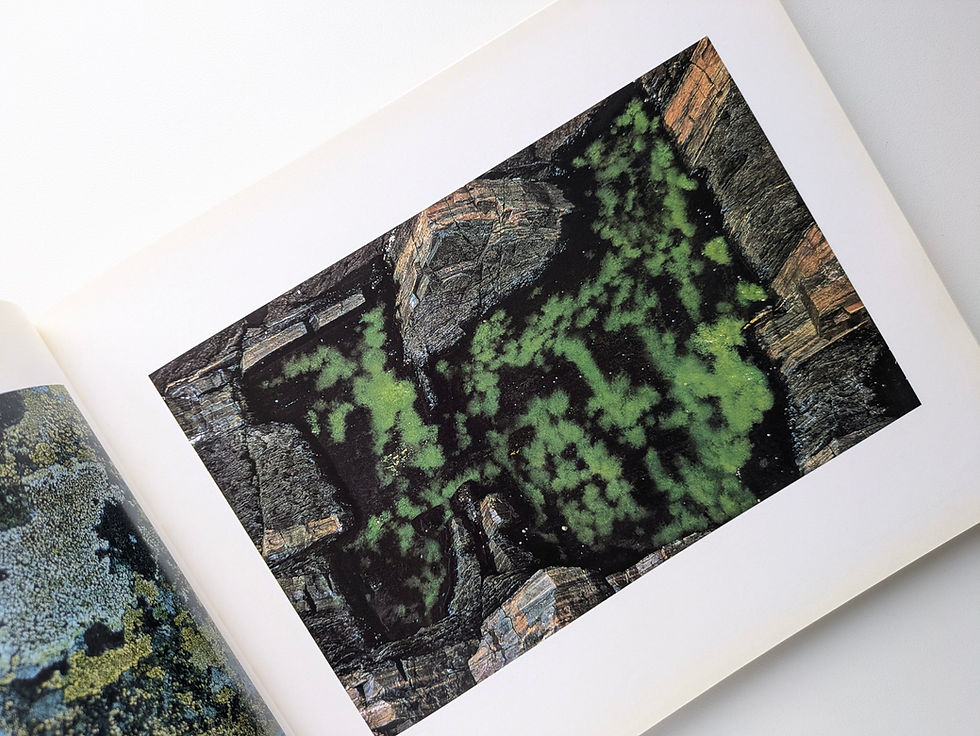 ERNST HAAS COLOR PHOTO - GRAPHY 洋書　写真集 ERNST HAAS COLOR PHOTO - GRAPHY 洋書 写真集 - メルカリ