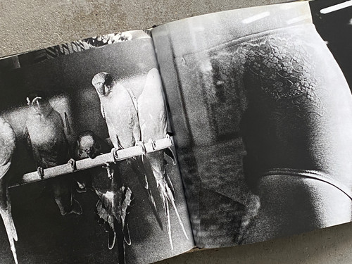 古書・古本 | Liebbooks |朝日ソノラマ写真選書6 続 にっぽん