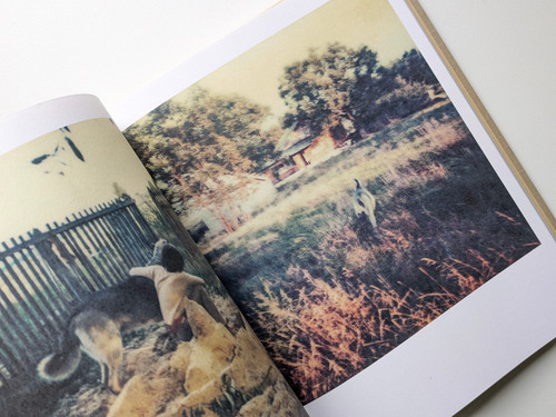 古書・古本 | Liebbooks |Bright, bright Day / Andrey Tarkovsky