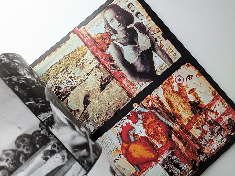 Thumbnail: Stern Portfolio No.26  PETER BEARD