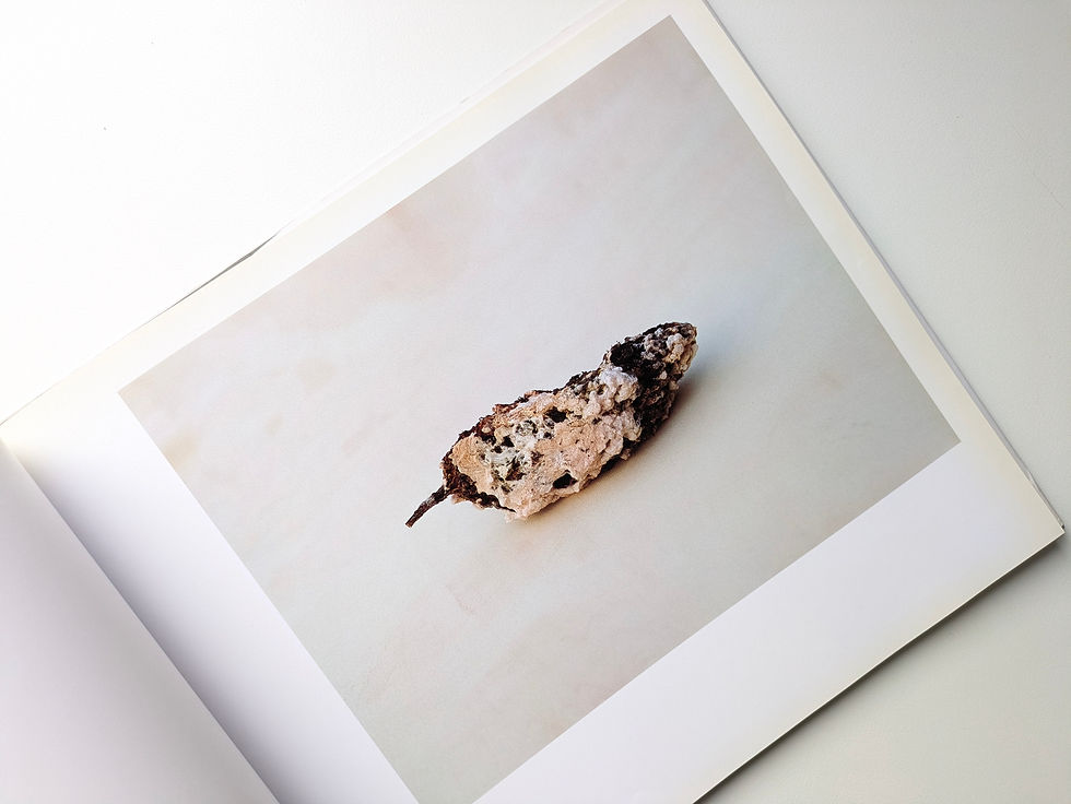 Thumbnail: OBSESSION / HIROSHI YODA [与田弘志]