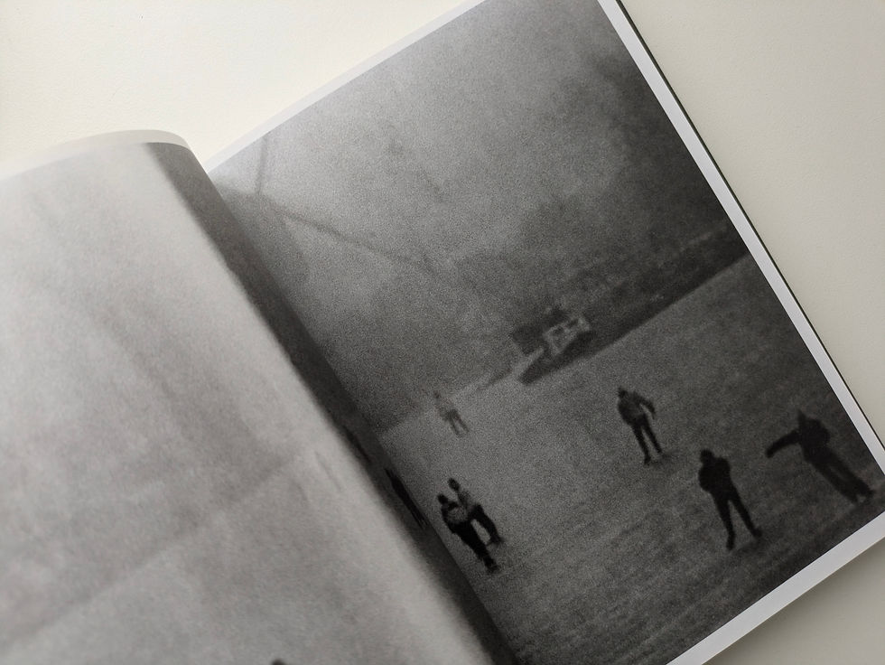 Thumbnail: LANDMASSES AND RAILWAYS / BERTRAND FLEURET