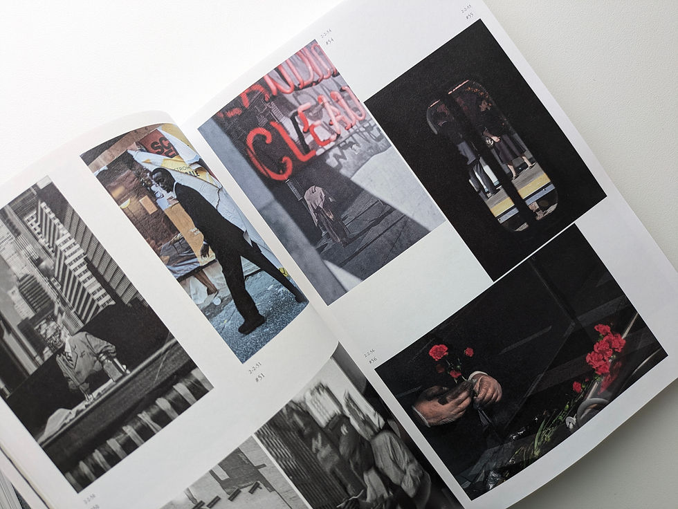 サムネイル： オランダ×千葉 撮る、物語る サラ・ファン・ライ＆ダヴィッド・ファン・デル・レーウ×清水裕貴