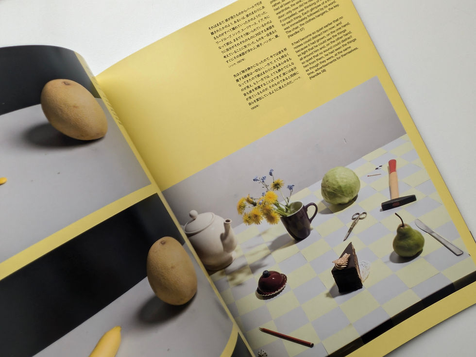 サムネイル： idea アイデア 376 2017 1  グラフィックデザイナーと展覧会