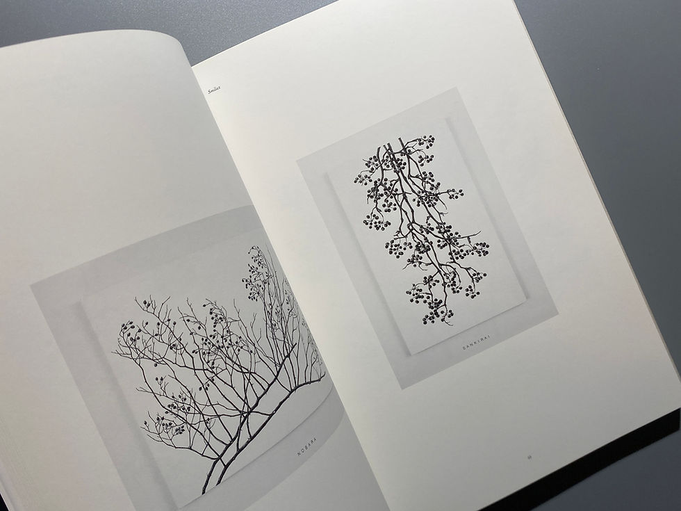 サムネイル： 日高理恵子 作品集 1979-2017