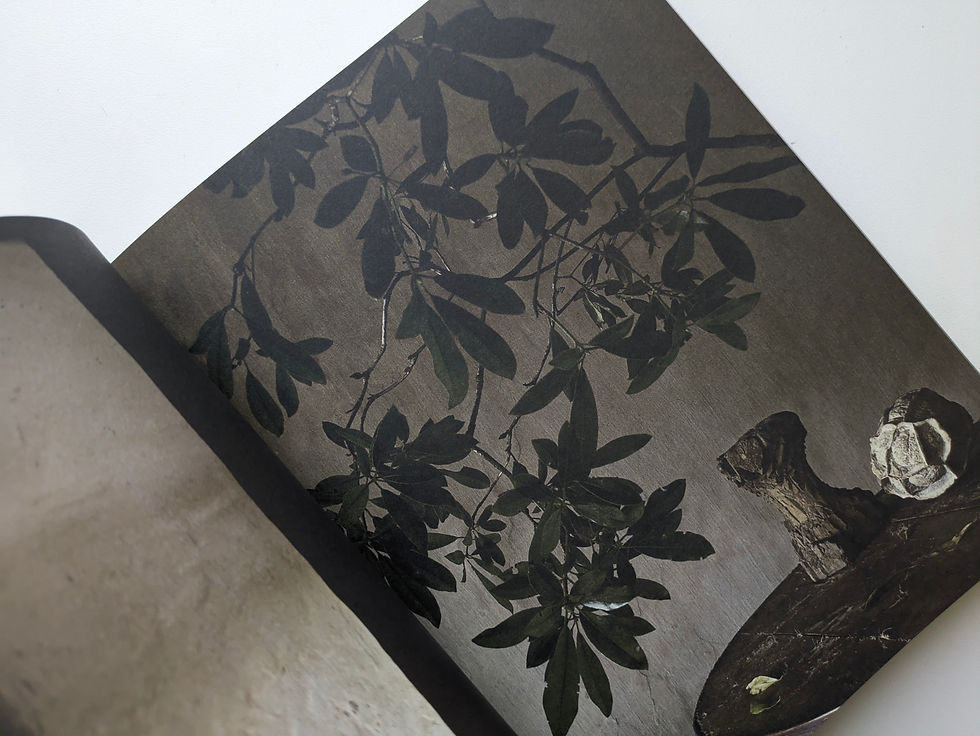 サムネイル： wabi inspirations  / axel Vervoordt