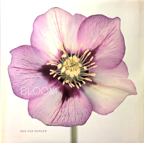 アート・デザイン・音楽 BLOOM Ron Van Dongen 古書・古本 | Liebbooks |BLOOM / RON VAN DONGEN