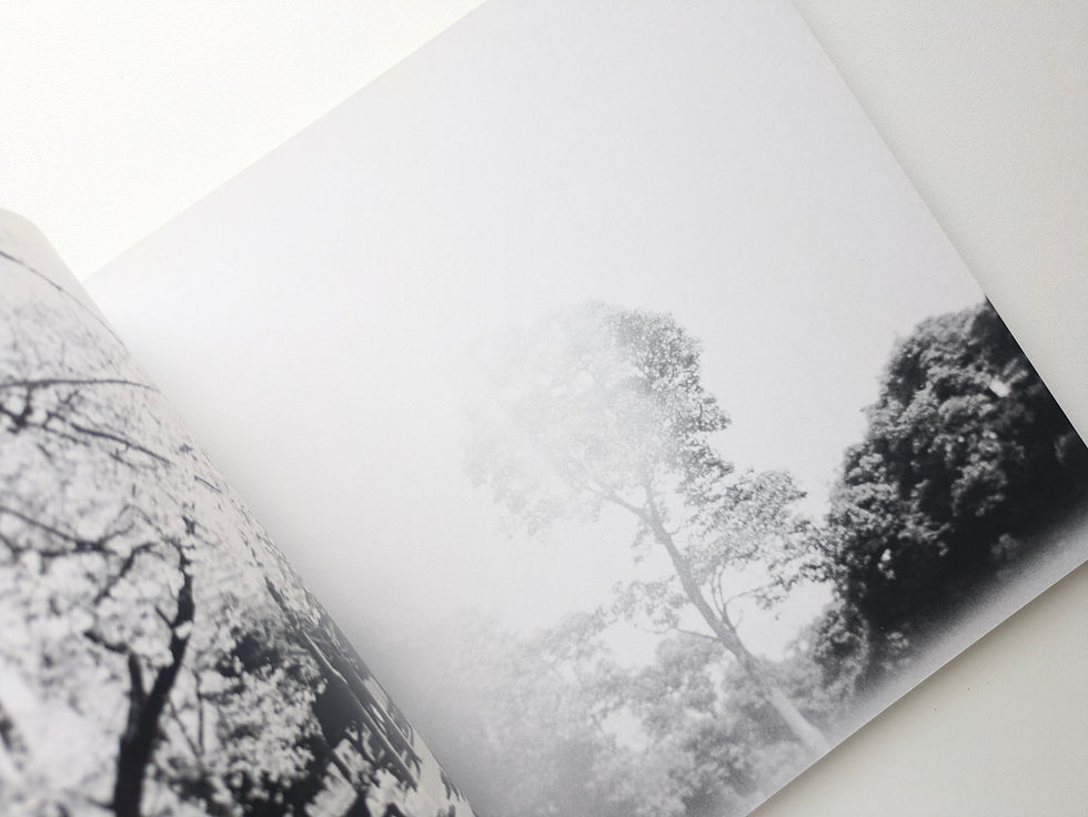 サムネイル： t-82 / Daido Moriyama [森山大道]