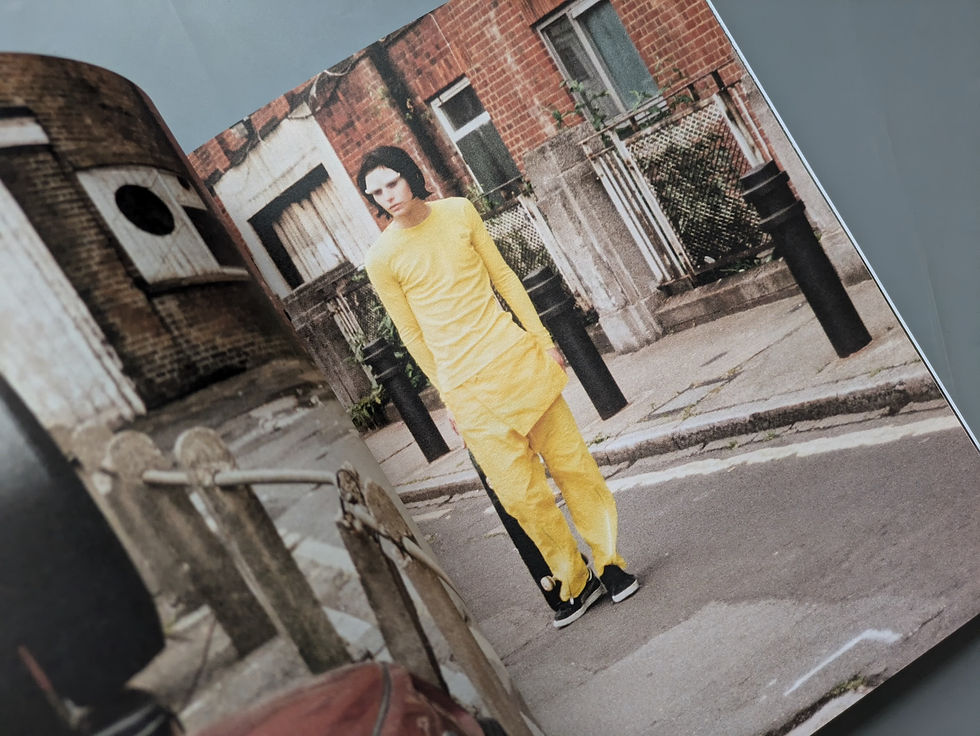 サムネイル： Dream The World Awake / WALTER VAN BEIRENDONCK