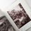 サムネイル： THE WORKS OF ATGET OLD FRANCE